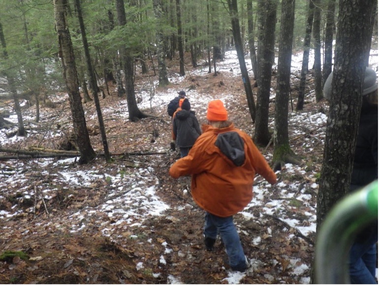 Ironwood Maine Web Update January 22, 2021